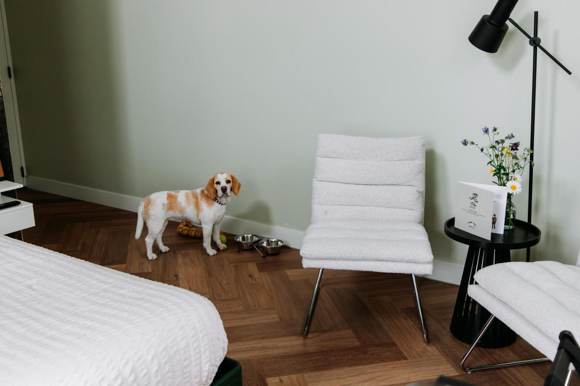 Boutique B&B Oud Aa Breukelen Εξωτερικό φωτογραφία